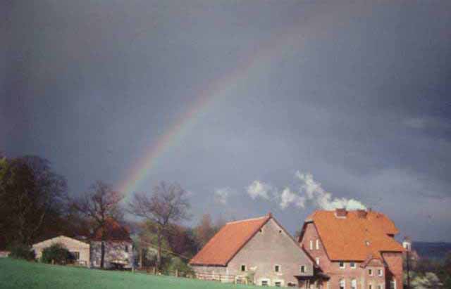 Buren rainbow